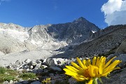 53 Vedretta del Venerocolo sul versante nord dell'Adamello 